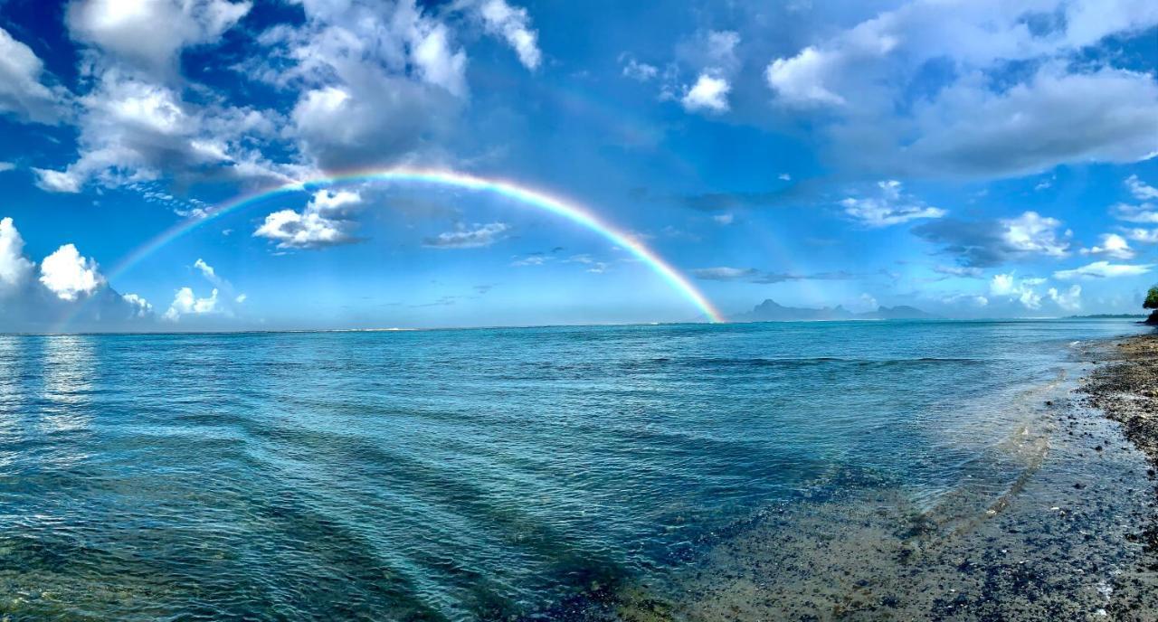 Superbe Bord De Mer, Acces Lagon Et Piscine Privee Paea Eksteriør billede
